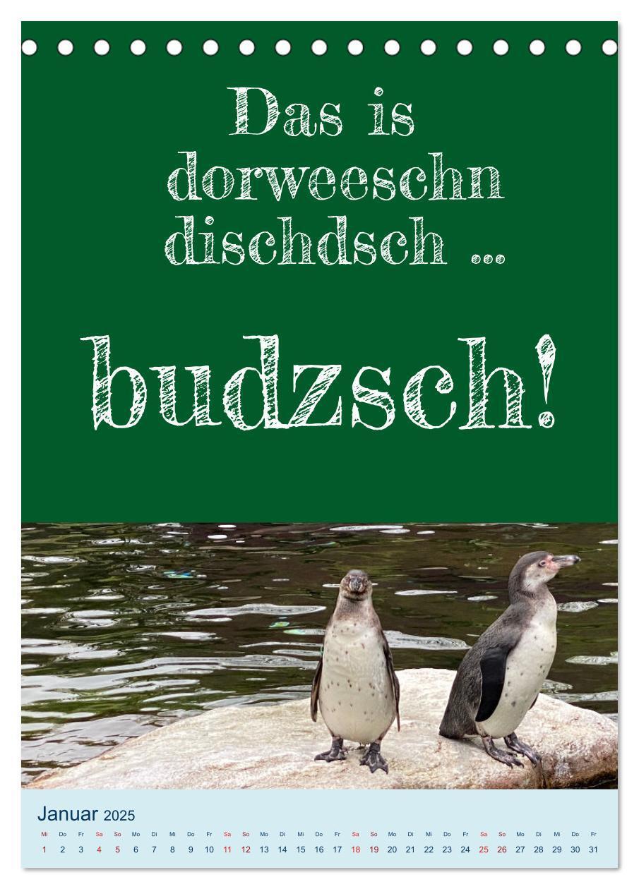 Bild: 9783457132531 | Ni schwäbborn! Mundart und Dialekt Kalender Sachsen (Tischkalender...