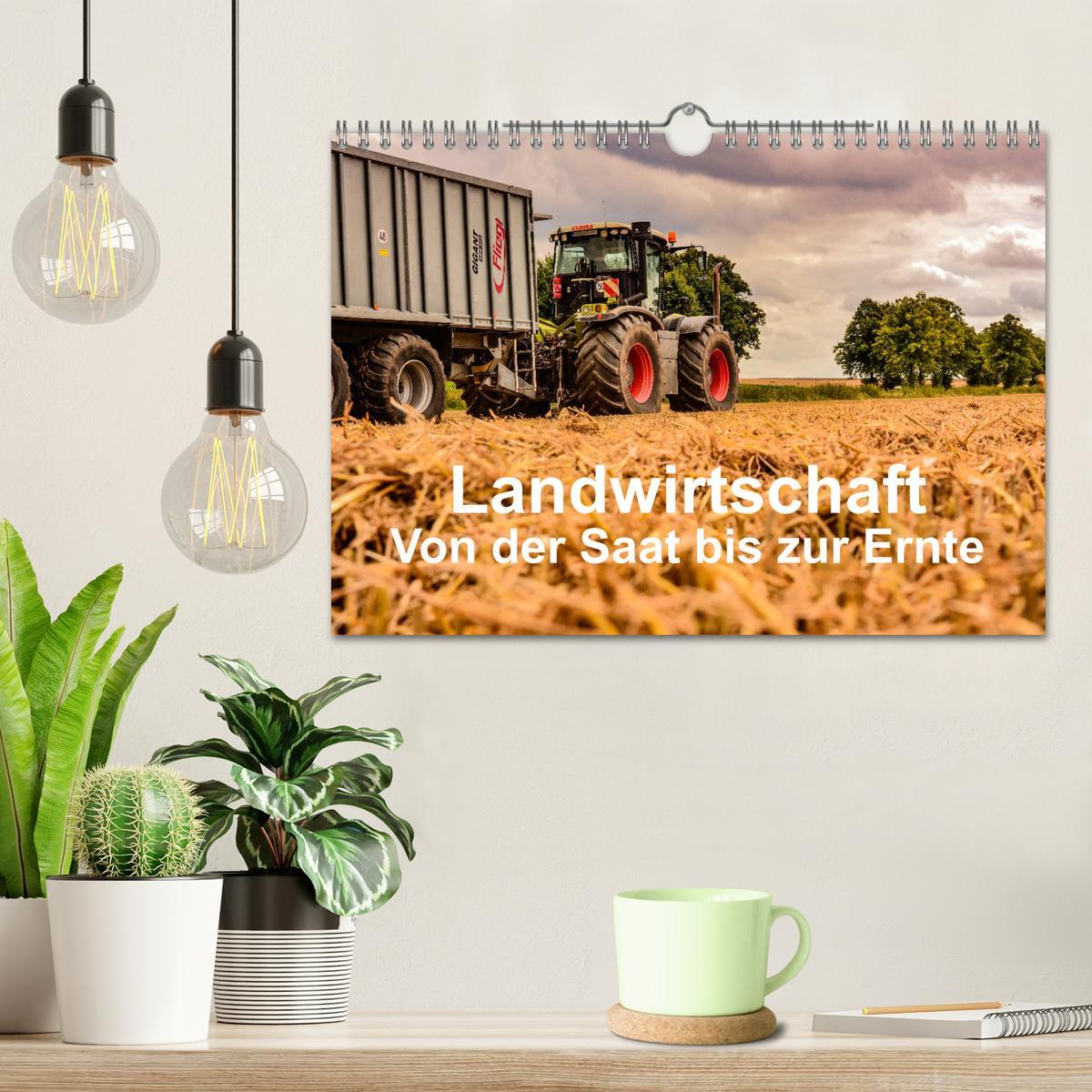 Bild: 9783435240067 | Landwirtschaft - Von der Saat bis zur Ernte (Wandkalender 2025 DIN...