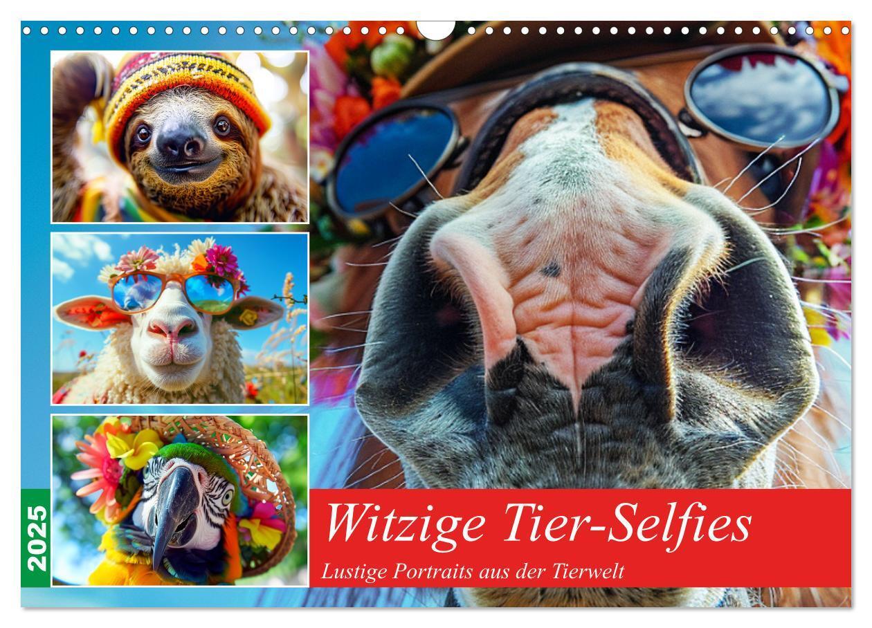 Cover: 9783383968860 | Witzige Tier-Selfies. Lustige Portraits aus der Tierwelt...