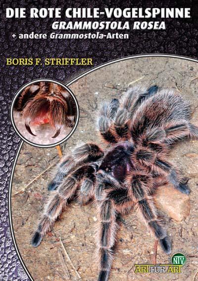 Cover: 9783937285412 | Die Rote Chile-Vogelspinne + andere Grammostaola-Arten | Striffler