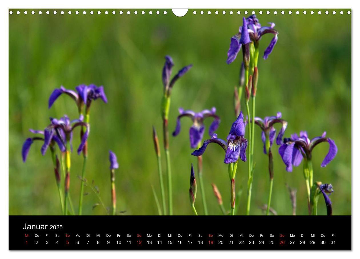 Bild: 9783435819652 | Sibirien- Impressionen von der Lena (Wandkalender 2025 DIN A3...