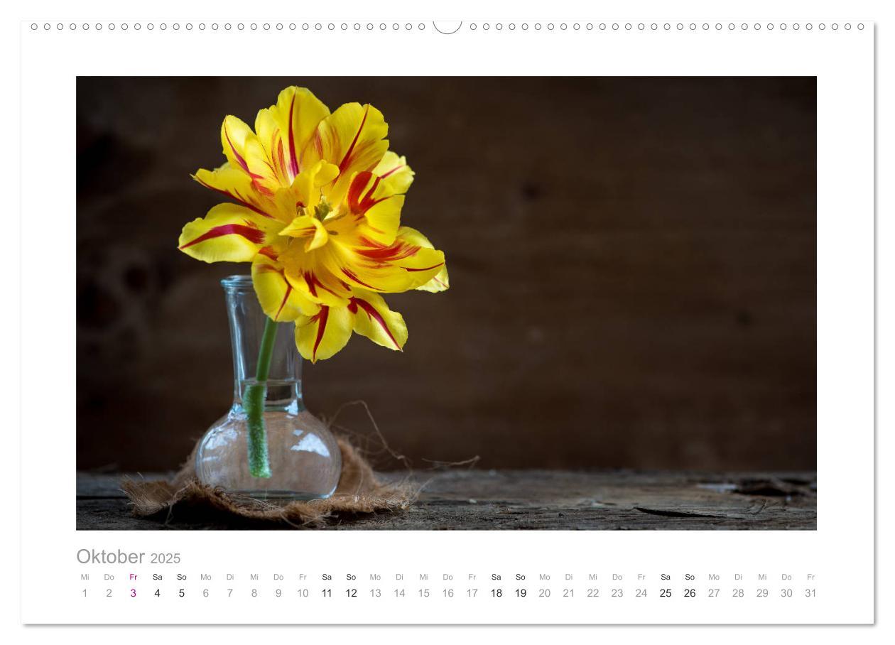 Bild: 9783435458035 | Blumen zart und schön (Wandkalender 2025 DIN A2 quer), CALVENDO...