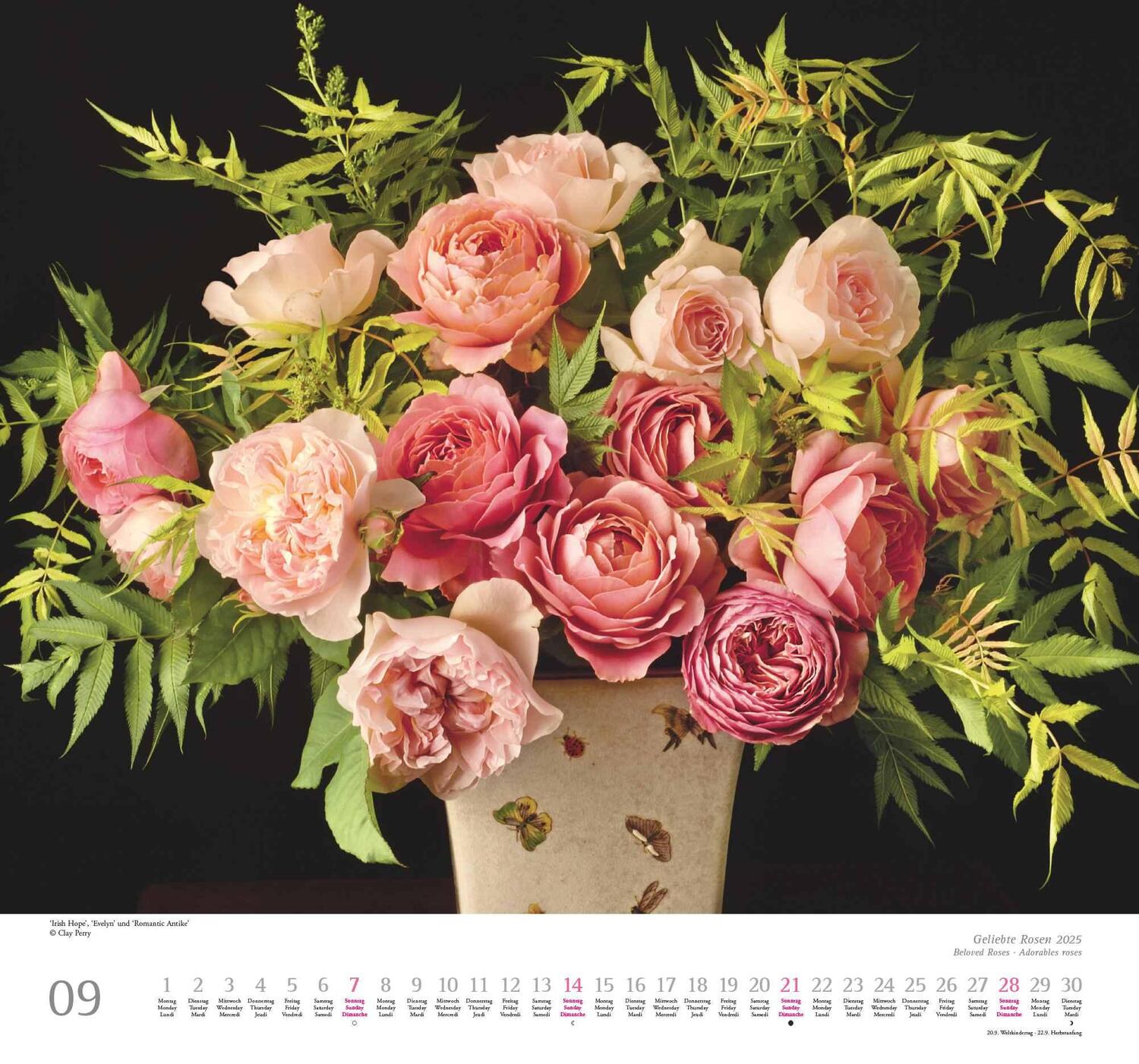 Bild: 4250809653082 | Geliebte Rosen 2025 - DUMONT Wandkalender - mit allen wichtigen...