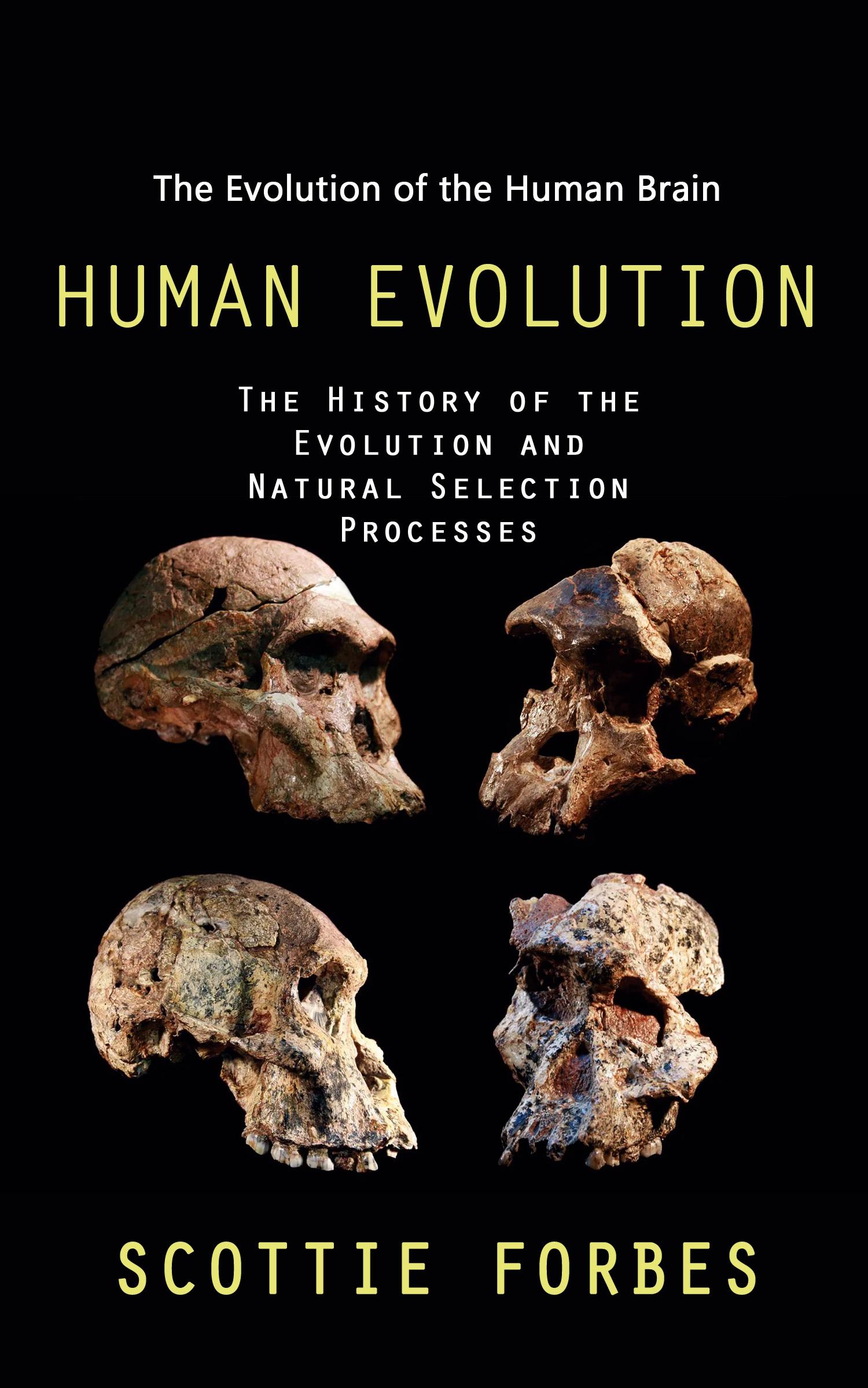 Cover: 9781998038992 | Human Evolution | Scottie Forbes | Taschenbuch | Paperback | Englisch