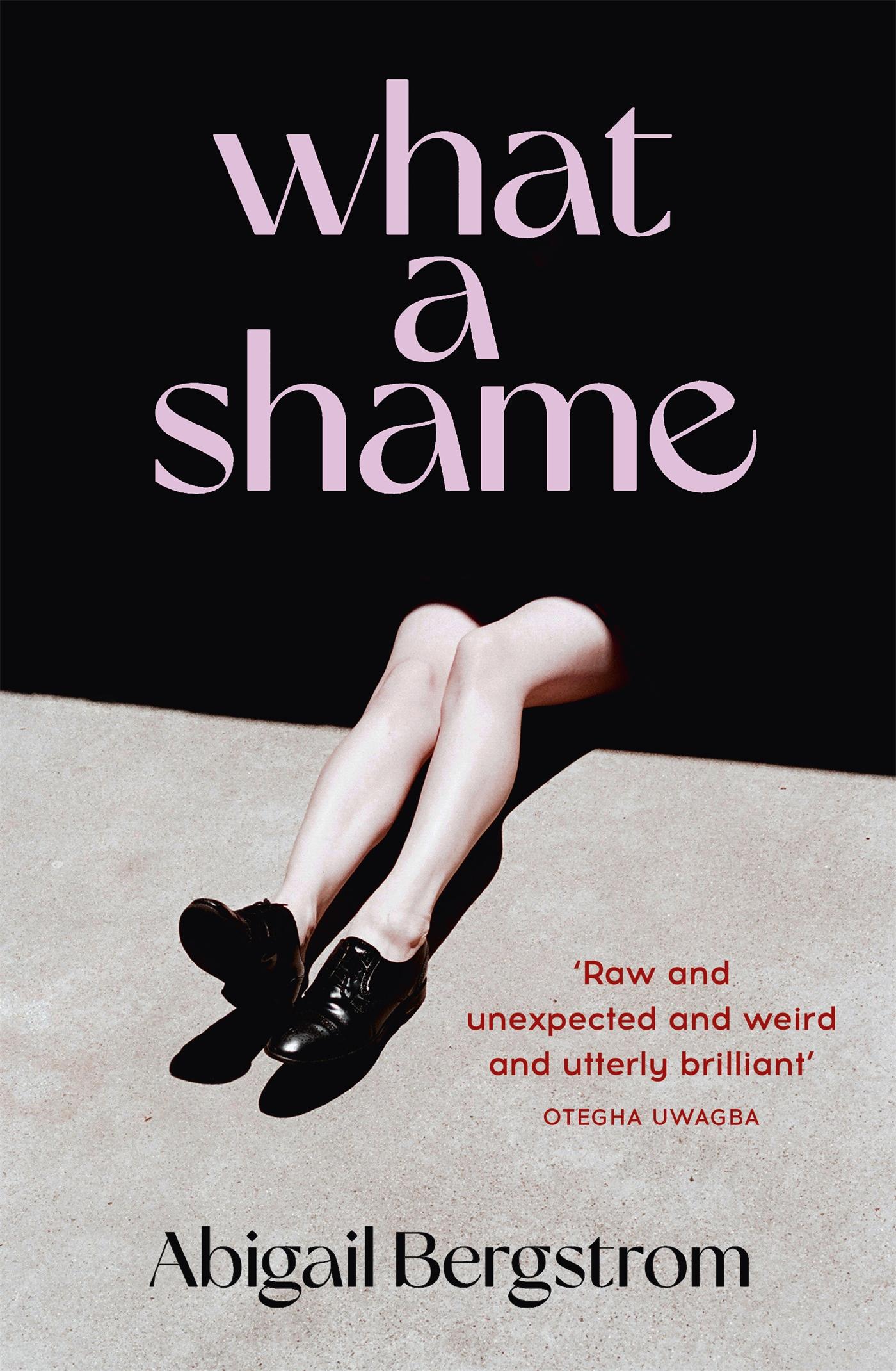 Cover: 9781529367072 | What a Shame | 'Intelligent, moving and darkly comic' The Sunday Times