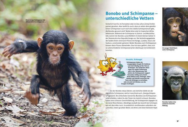 Bild: 9783866593084 | Entdecke die Menschenaffen | Gorilla, Orang-Utan und Co | Buch | 56 S.