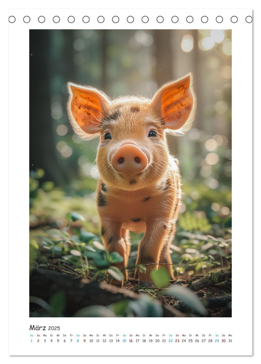 Bild: 9783457160558 | Schwein gehabt (Tischkalender 2025 DIN A5 hoch), CALVENDO...