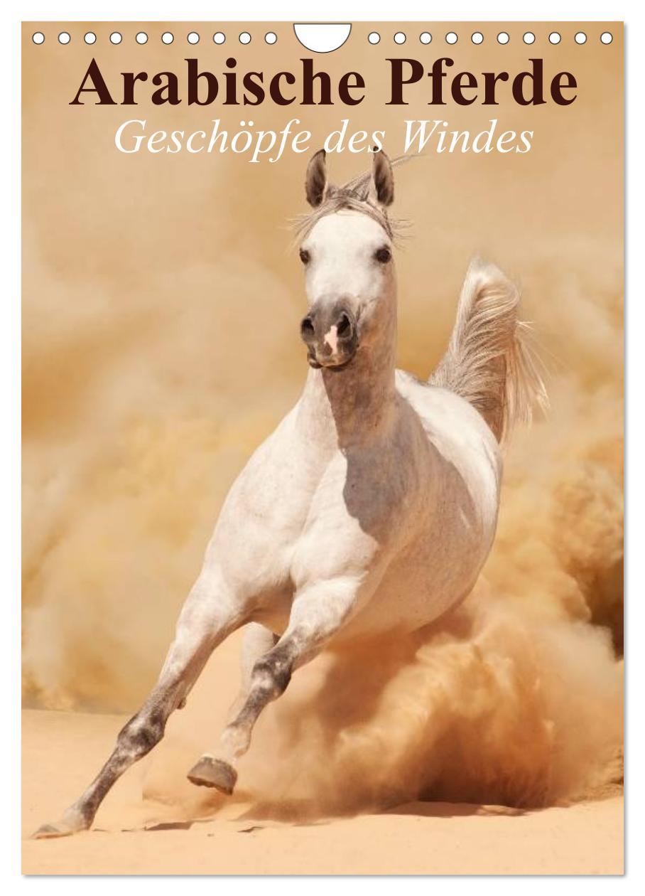 Cover: 9783457057254 | Arabische Pferde ¿ Geschöpfe des Windes (Wandkalender 2025 DIN A4...