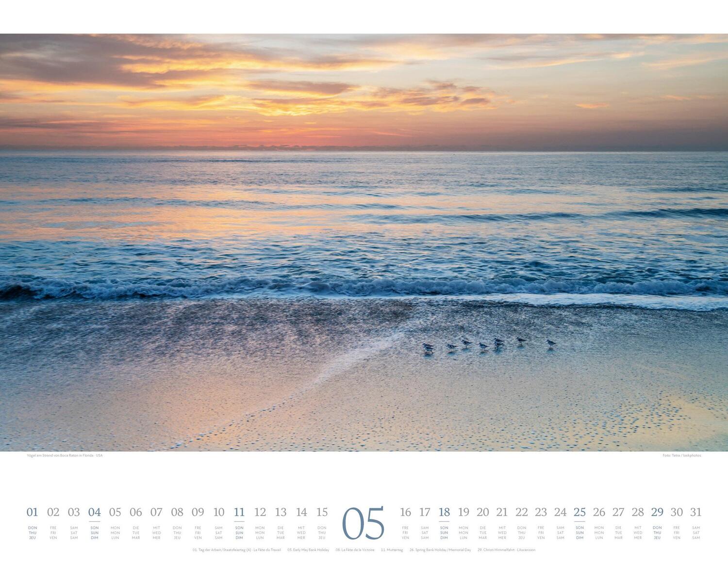 Bild: 9783838425382 | Morgenlicht Kalender 2025 | Ackermann Kunstverlag | Kalender | 14 S.