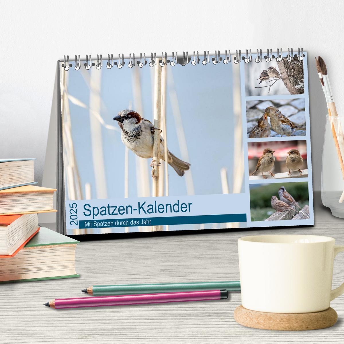 Bild: 9783435788194 | Spatzen-Kalender (Tischkalender 2025 DIN A5 quer), CALVENDO...