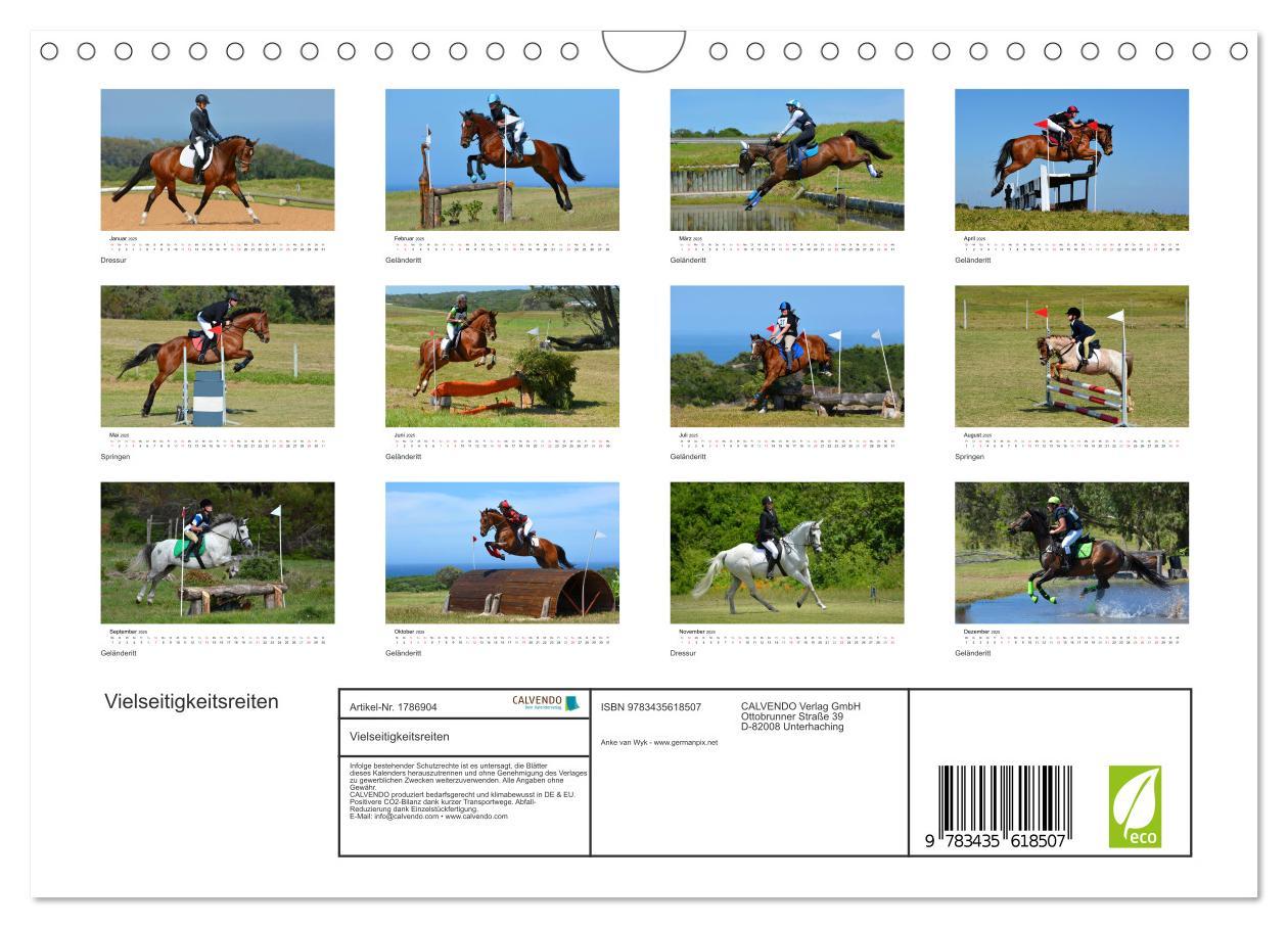 Bild: 9783435618507 | Vielseitigkeitsreiten (Wandkalender 2025 DIN A4 quer), CALVENDO...