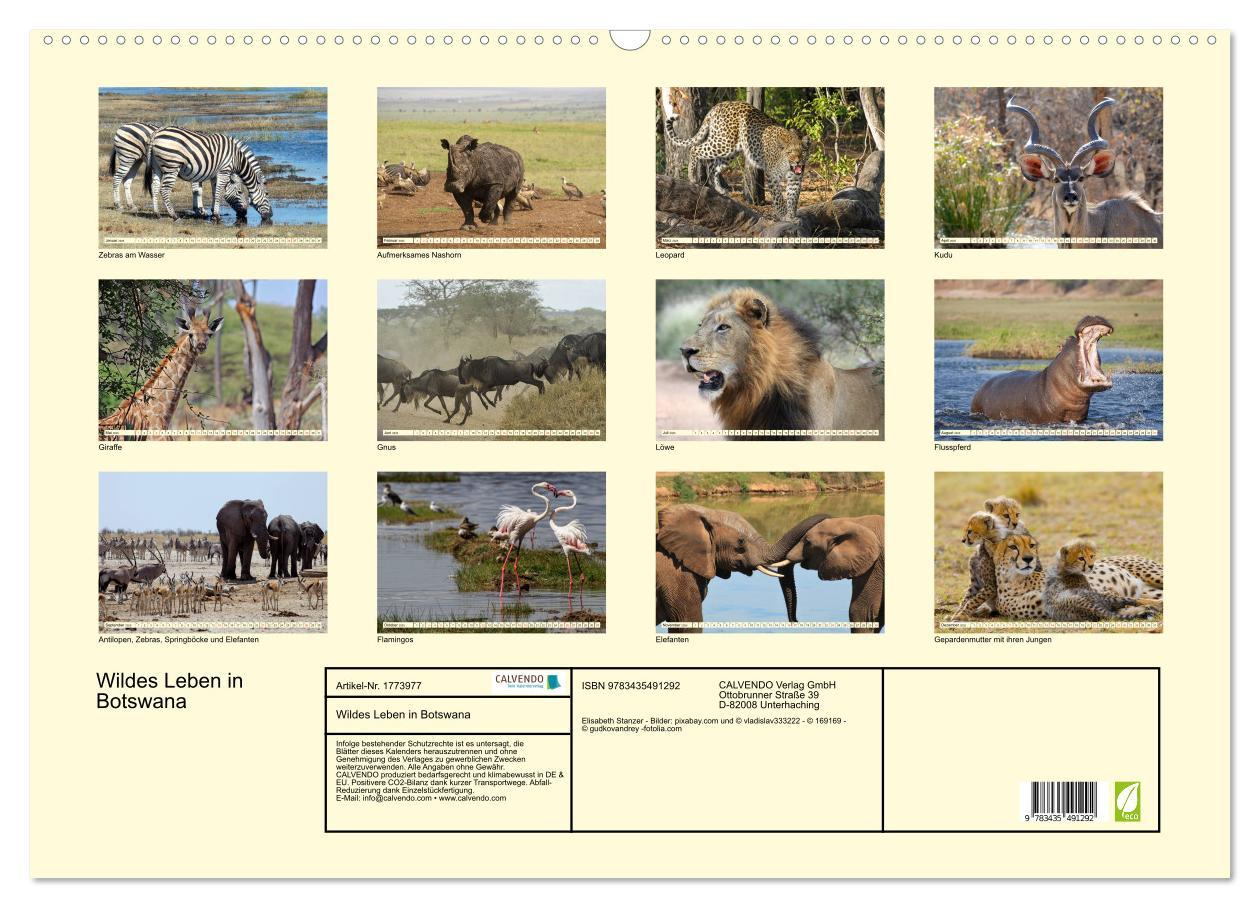 Bild: 9783435491292 | Wildes Leben in Botswana (Wandkalender 2025 DIN A2 quer), CALVENDO...