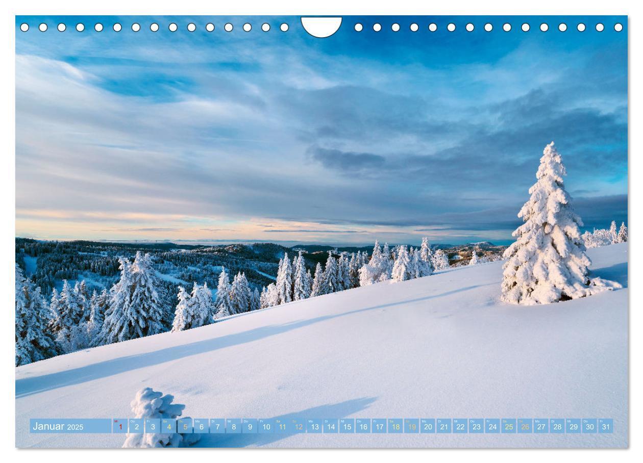 Bild: 9783435461585 | Schwarzwald - Märchenwald (Wandkalender 2025 DIN A4 quer), CALVENDO...