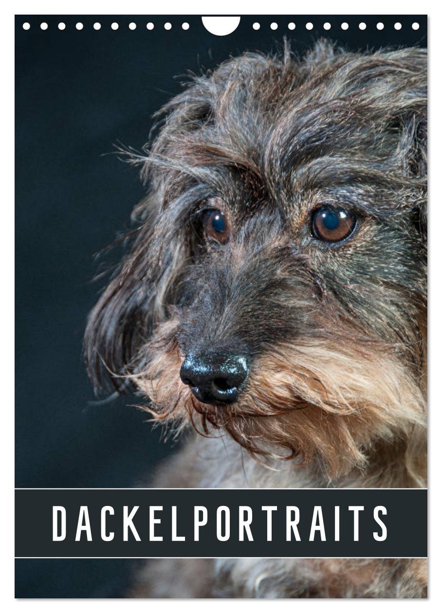 Cover: 9783435974030 | Dackelportraits (Wandkalender 2025 DIN A4 hoch), CALVENDO...