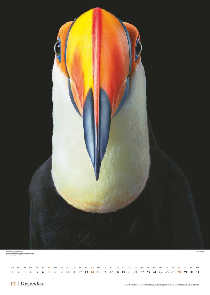 Bild: 4250809653549 | DUMONT - Tim Flach: Vögel 2025, 50x70cm, Posterkalender mit...