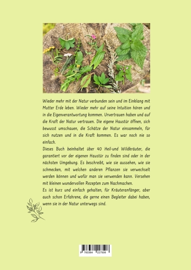 Bild: 9783384227508 | Heil- und Wildkräuter in meinem Garten | Marika Gilke | Taschenbuch