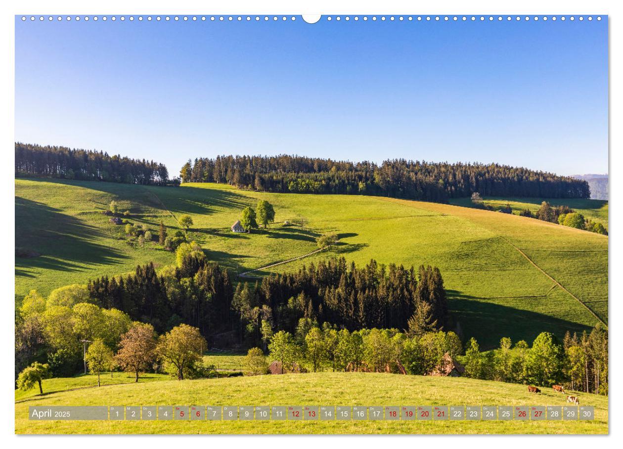 Bild: 9783435076390 | Ein Jahr im Schwarzwald (Wandkalender 2025 DIN A2 quer), CALVENDO...