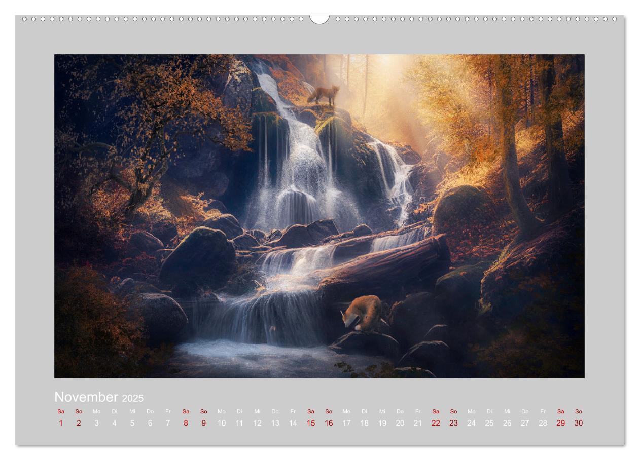 Bild: 9783383872440 | Wald der Märchen (hochwertiger Premium Wandkalender 2025 DIN A2...