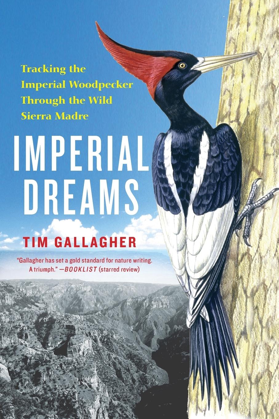 Cover: 9781476734385 | Imperial Dreams | Tracking the Imperial Woodpecker Through the Wild