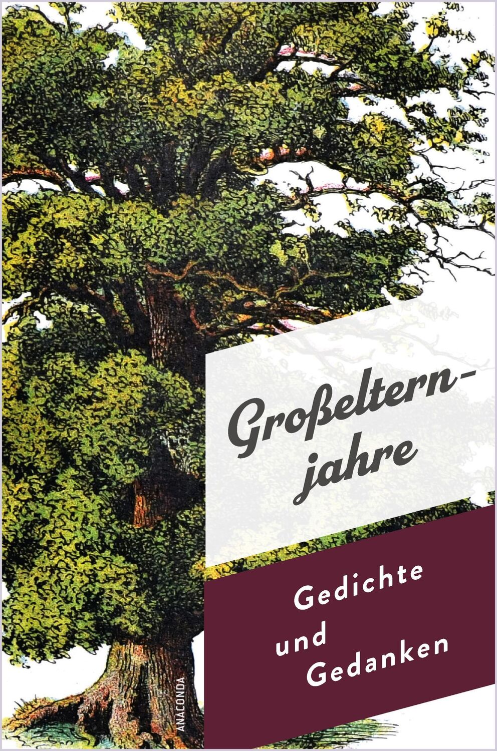 Cover: 9783730614037 | Großelternjahre. Gedichte und Gedanken | Jan Strümpel | Buch | 224 S.