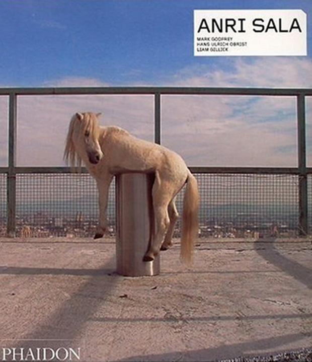 Cover: 9780714845272 | Anri Sala | Hans Ulrich Obrist (u. a.) | Taschenbuch | 160 S. | 2006