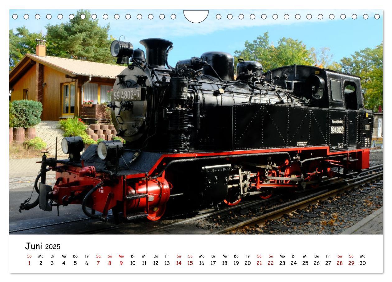 Bild: 9783383932014 | Rügens "rasender Roland" (Wandkalender 2025 DIN A4 quer), CALVENDO...