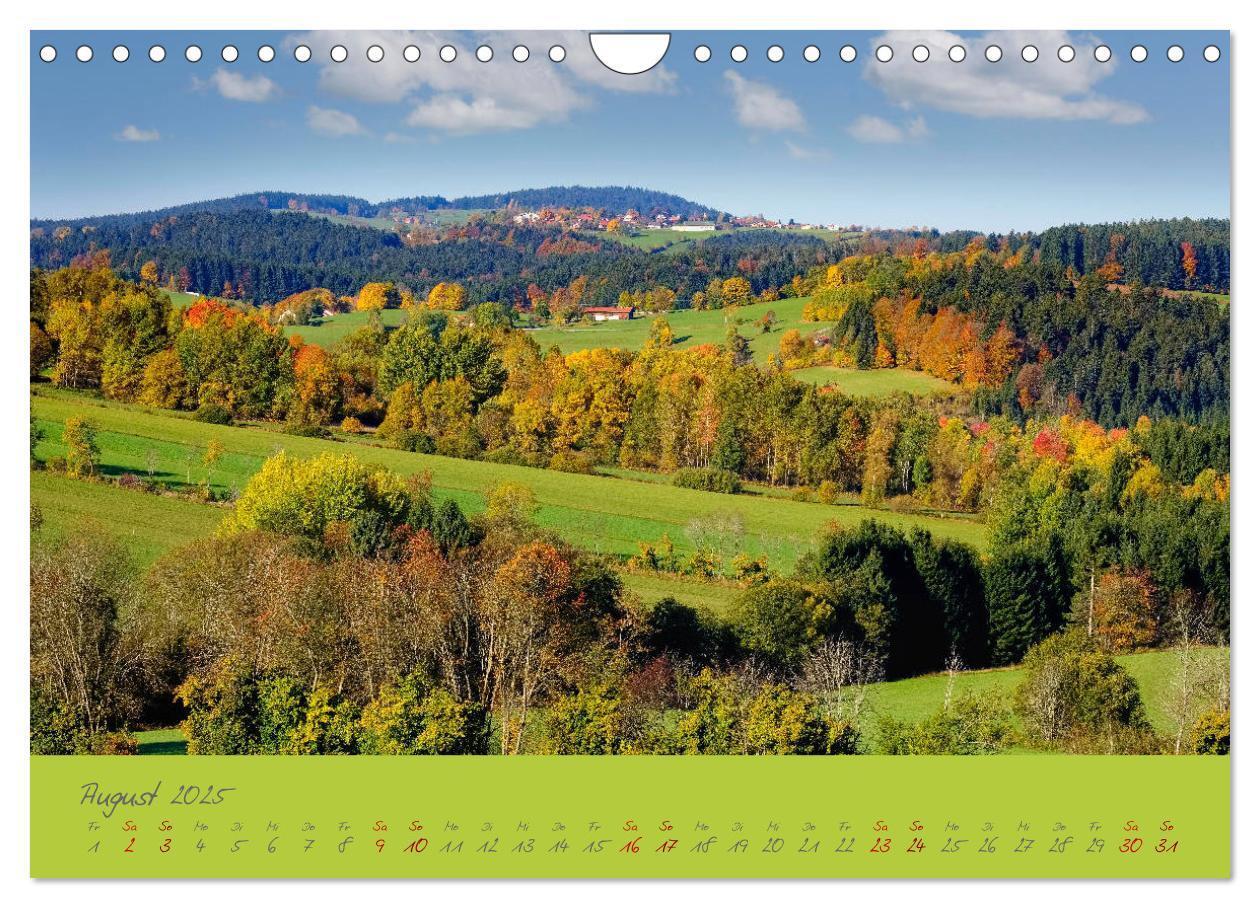 Bild: 9783435194247 | Der Bayerische Wald (Wandkalender 2025 DIN A4 quer), CALVENDO...