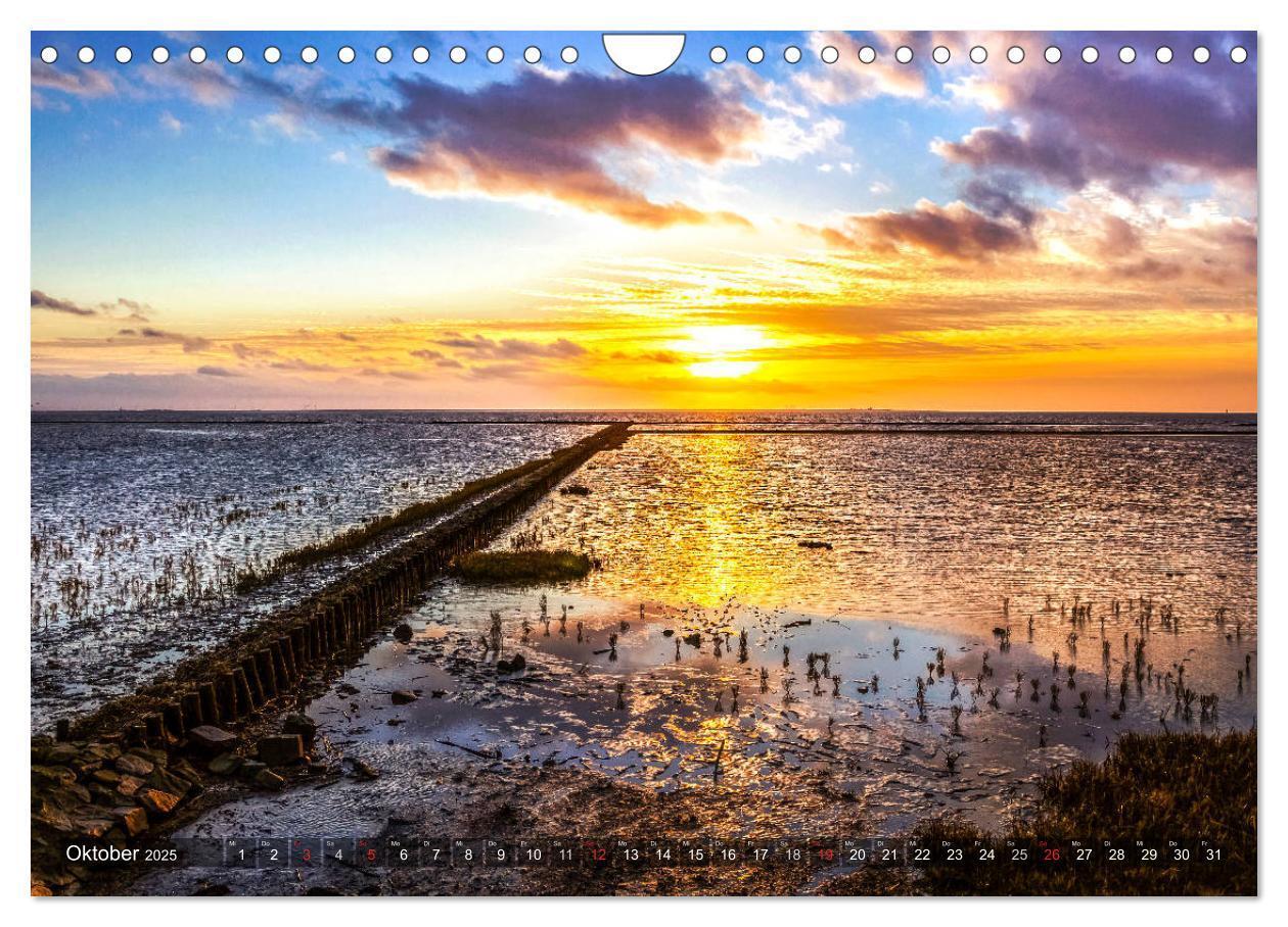 Bild: 9783435168118 | OSTFRIESLAND-LIEBE (Wandkalender 2025 DIN A4 quer), CALVENDO...