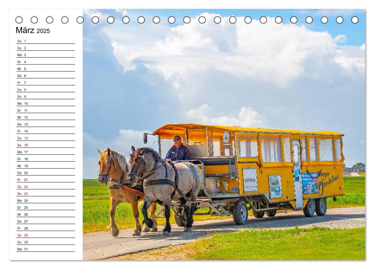 Bild: 9783435114870 | Hallig Hooge - Romantik Pur (Tischkalender 2025 DIN A5 quer),...