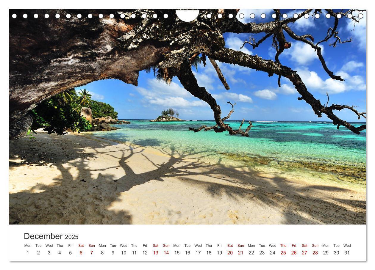 Bild: 9781325949410 | Dreamy Beaches of the Seychelles (Wall Calendar 2025 DIN A4...