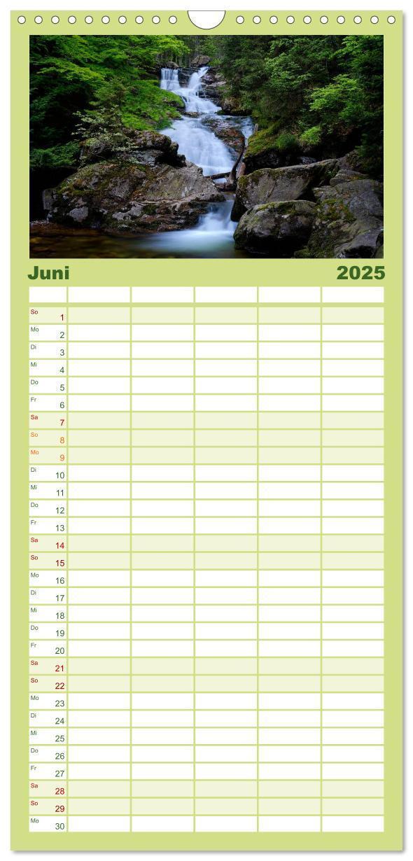 Bild: 9783457117453 | Familienplaner 2025 - Mysterium Wald mit 5 Spalten (Wandkalender,...