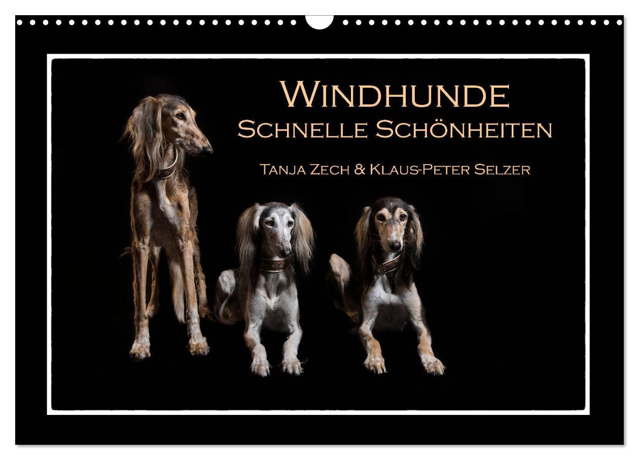 Cover: 9783435177226 | Windhunde - Schnelle Schönheiten (Wandkalender 2025 DIN A3 quer),...