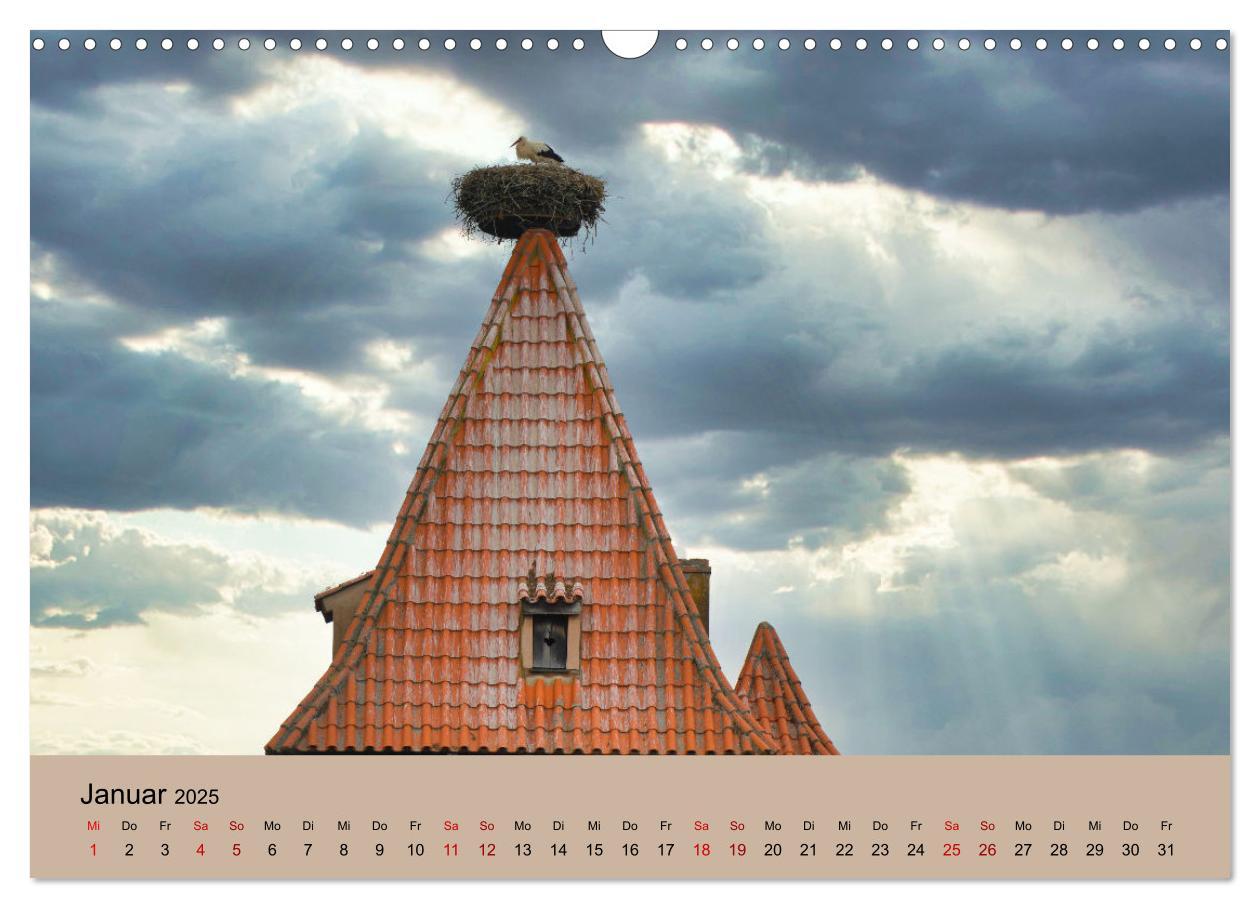 Bild: 9783435019779 | Der Storchenkalender (Wandkalender 2025 DIN A3 quer), CALVENDO...