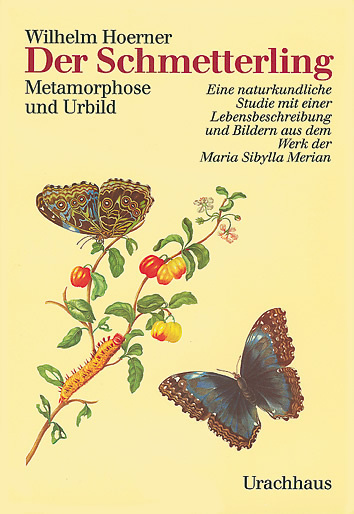 Cover: 9783878389132 | Der Schmetterling | Wilhelm Hoerner | Buch | 432 S. | Deutsch | 1991