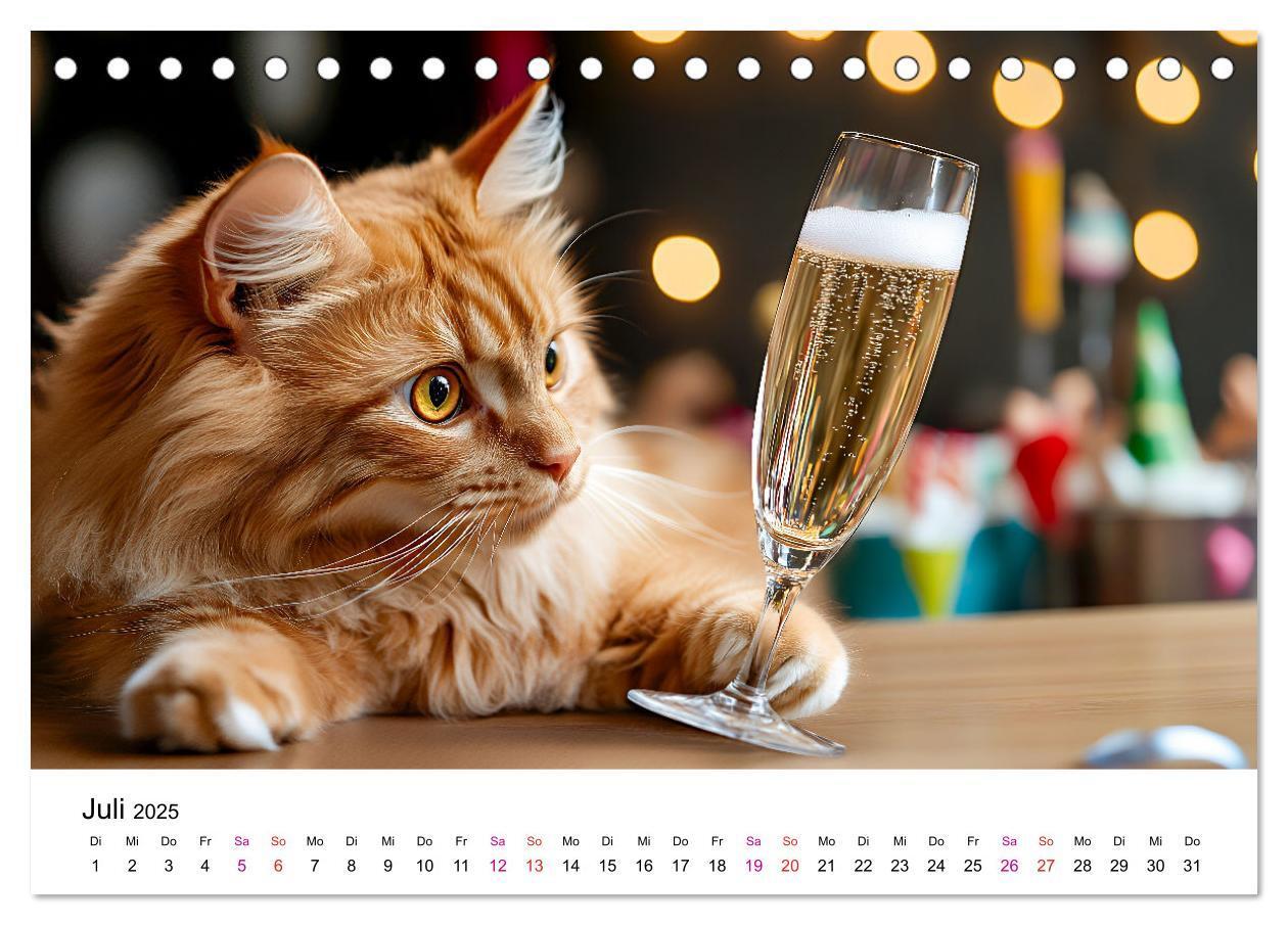 Bild: 9783457218334 | Katzenzauber - Samtpfoten im Jahreslauf (Tischkalender 2025 DIN A5...