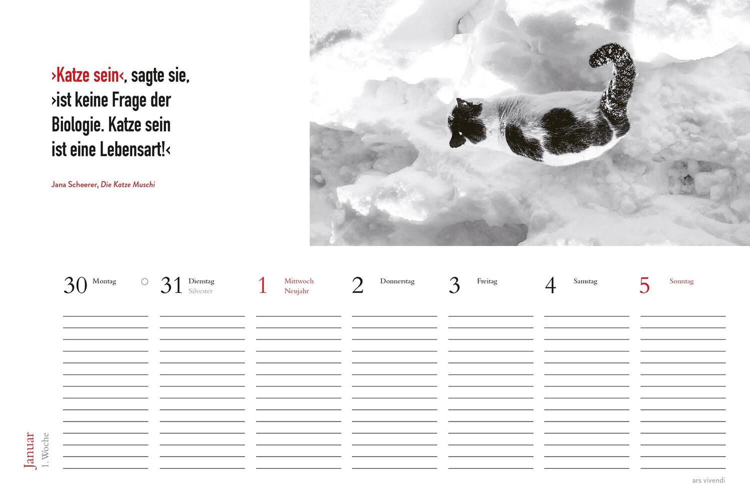 Bild: 9783747205716 | Tischkalender Katzen 2025 | Tischkalender | ars vivendi verlag | 53 S.