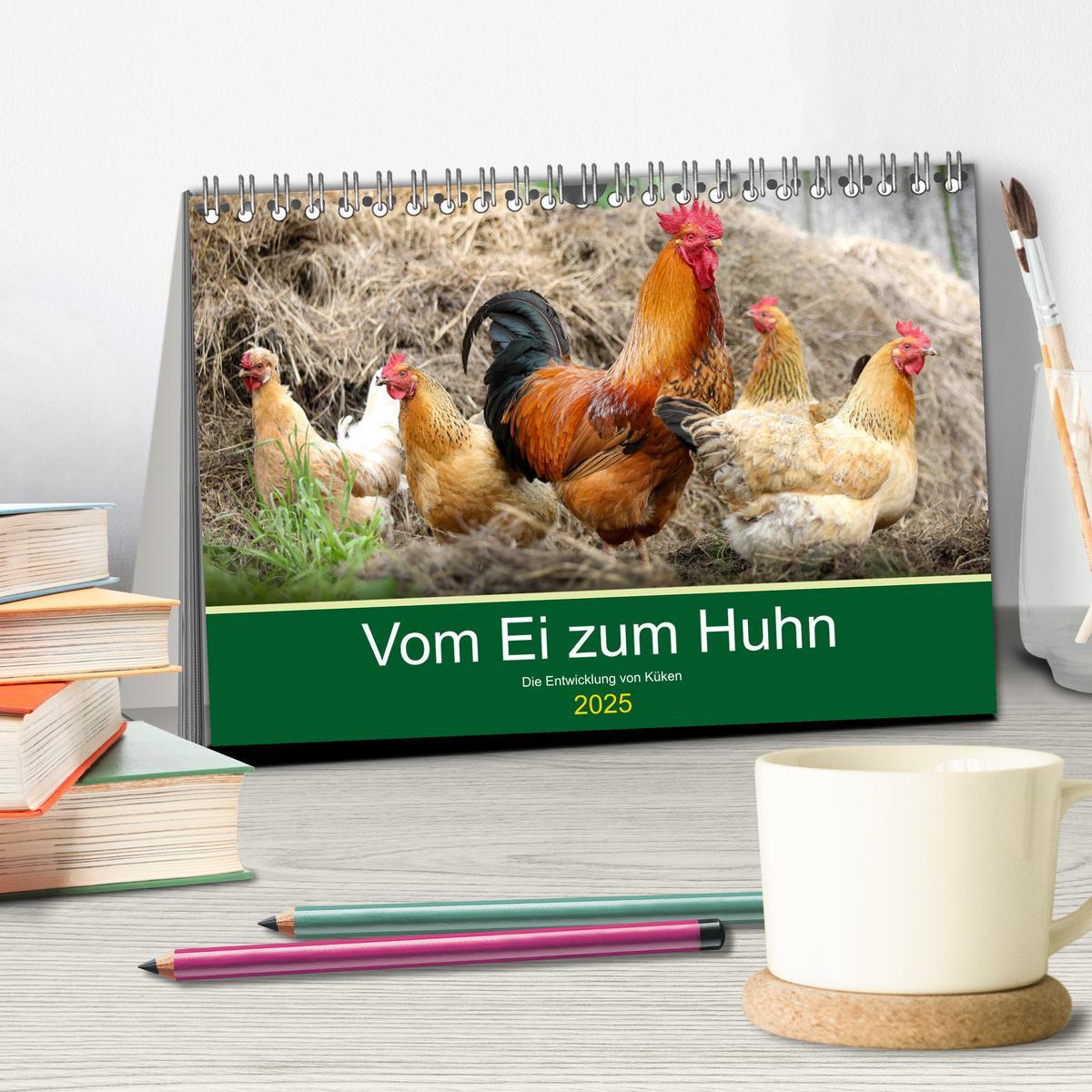 Bild: 9783435335893 | Vom Ei zum Huhn. Die Entwicklung von Küken (Tischkalender 2025 DIN...