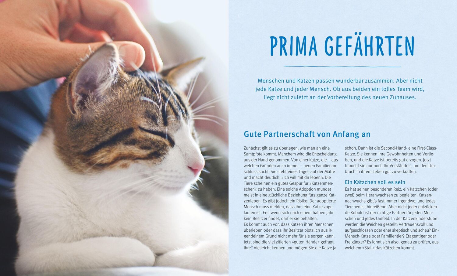 Bild: 9783833852176 | Katzen | Wohlfühl-Garantie für kleine und große Schnurrer | Buch