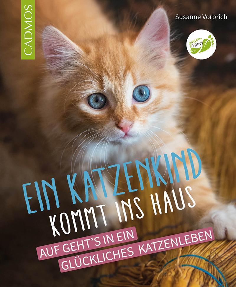 Cover: 9783840440250 | Ein Katzenkind kommt ins Haus | Susanne Vorbrich | Taschenbuch | 2024