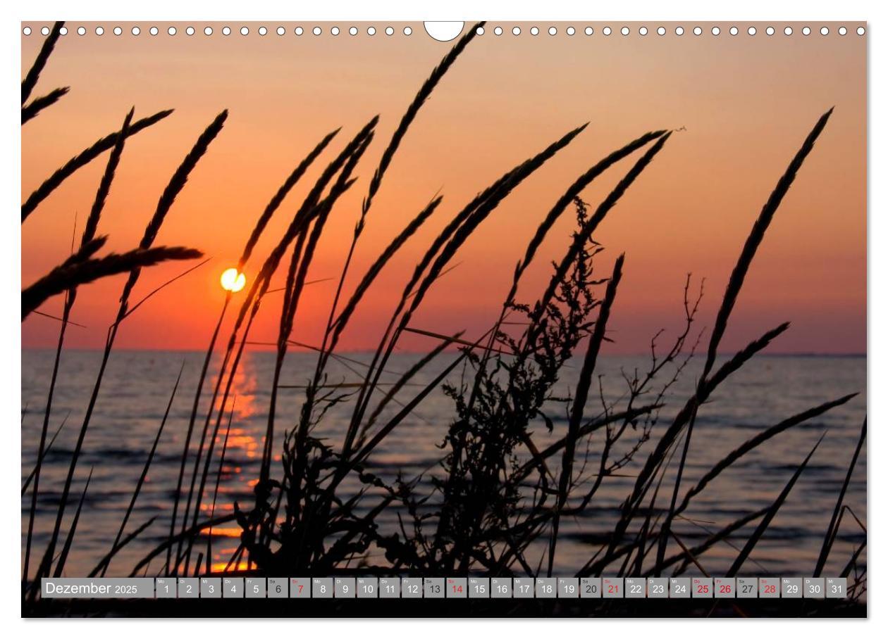 Bild: 9783435495719 | Dänemark - Ostseeküste (Wandkalender 2025 DIN A3 quer), CALVENDO...