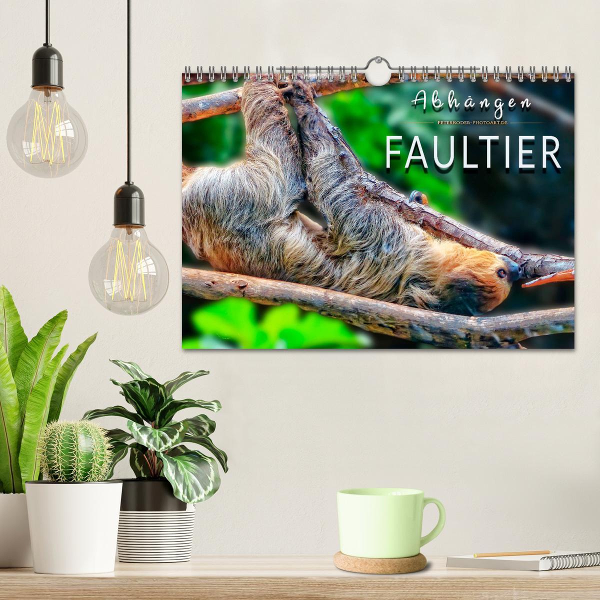 Bild: 9783435334278 | Abhängen - Faultier (Wandkalender 2025 DIN A4 quer), CALVENDO...