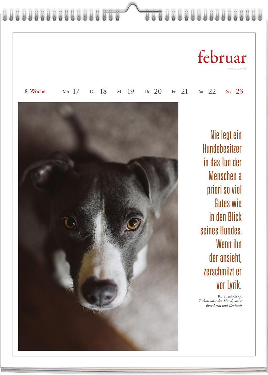 Bild: 9783747205648 | Literarischer Hunde - Kalender 2025 | Wochenkalender | Vivendi Ars