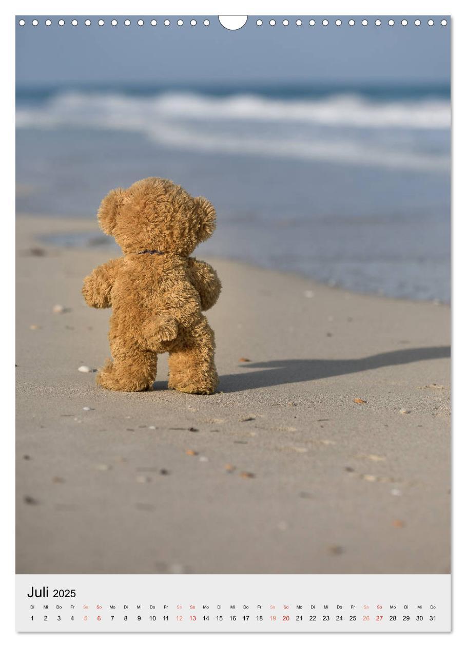 Bild: 9783435935093 | Travelling Teddy auf Welt-Tour (Wandkalender 2025 DIN A3 hoch),...