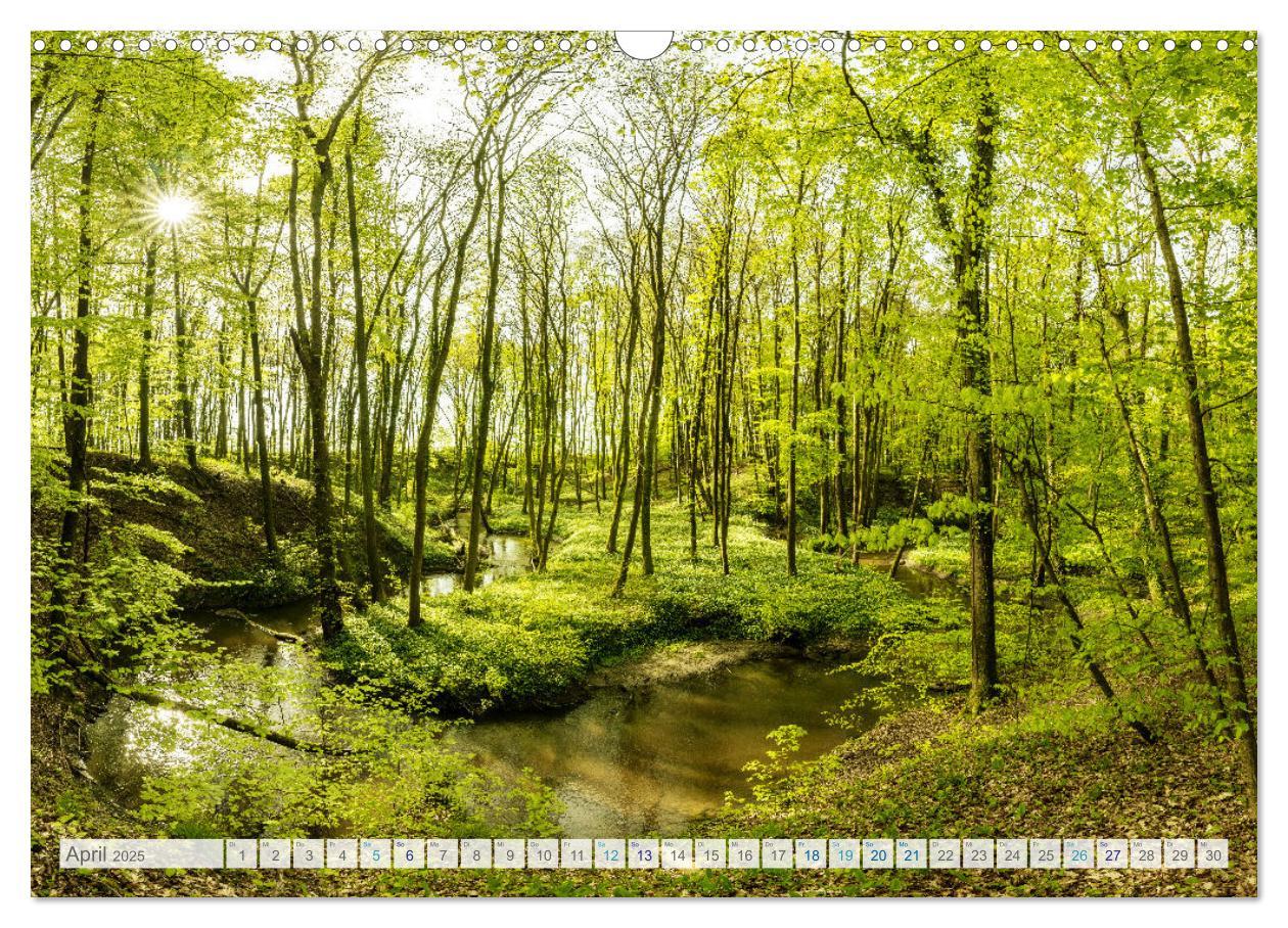 Bild: 9783457197554 | Bunter Pfälzerwald (Wandkalender 2025 DIN A3 quer), CALVENDO...