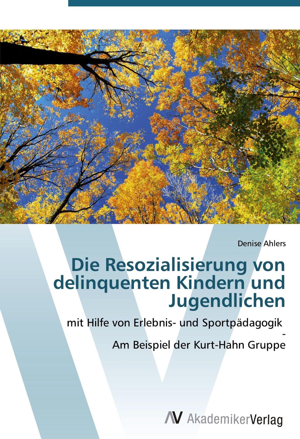 Cover: 9783639428506 | Die Resozialisierung von delinquenten Kindern und Jugendlichen | Buch