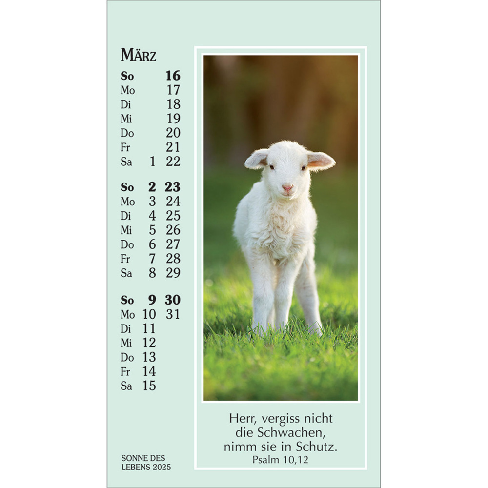 Bild: 9783754892053 | Sonne des Lebens 2025 | Mini-Kalender mit Bibelworten und Farbfotos