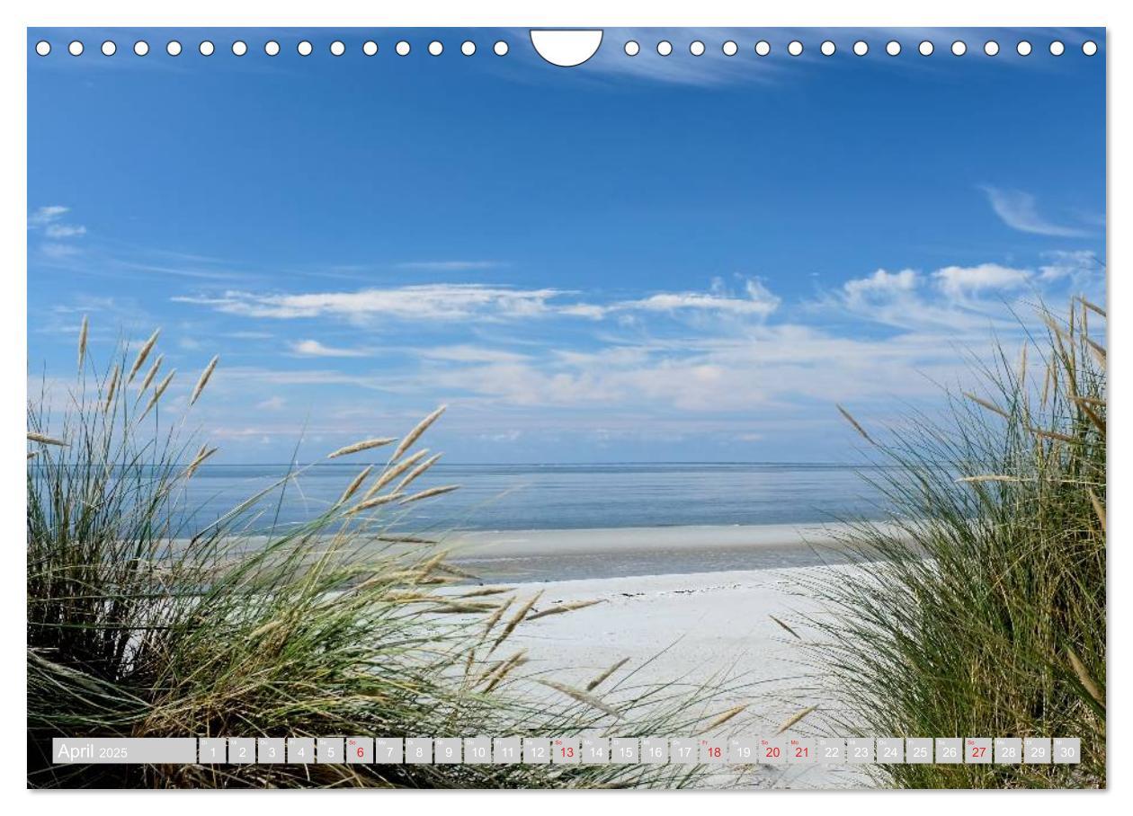 Bild: 9783435715633 | Amrum, die Perle in der Nordsee (Wandkalender 2025 DIN A4 quer),...