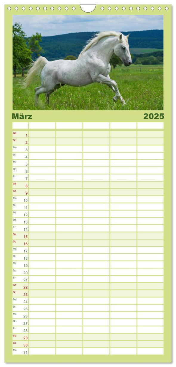 Bild: 9783457117651 | Familienplaner 2025 - Welt der Pferde mit 5 Spalten (Wandkalender,...