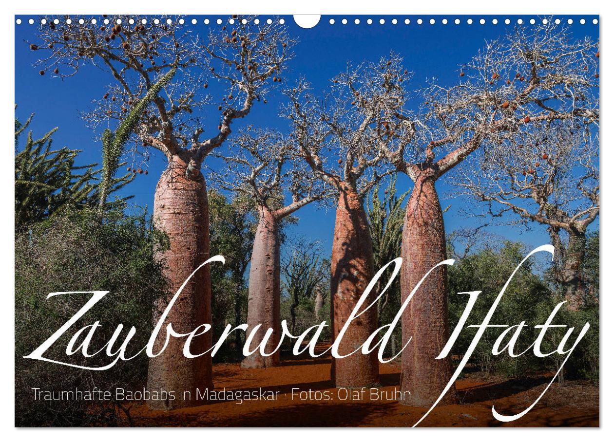 Cover: 9783435277889 | Zauberwald Ifaty · Traumhafte Baobabs in Madagaskar (Wandkalender...