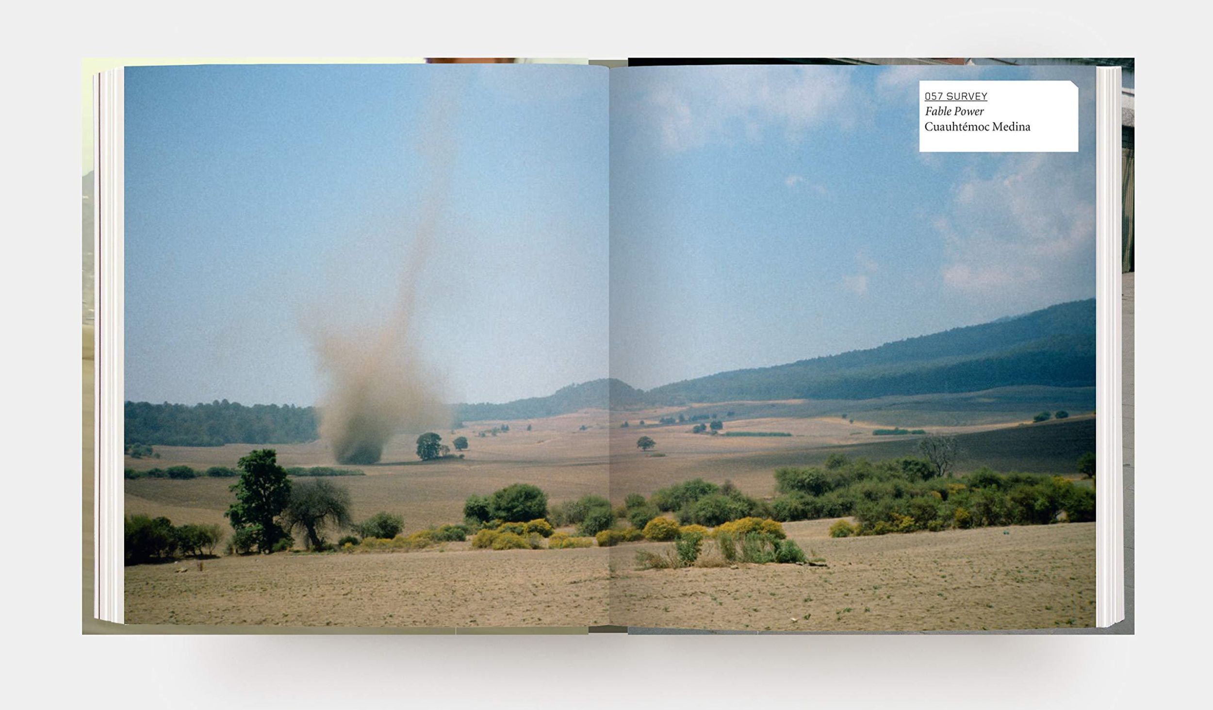 Bild: 9780714875002 | Francis Alÿs | Revised &amp; Expanded Edition | Ferguson (u. a.)